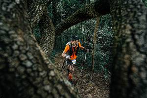 BIB: 
                            <button type="button" onclick="openModal(25391862)" class="btn btn-primary btn-sm float-right btn-popup" data-toggle="modal" data-target=".modal-high-quality">
                        <i class="fas fa-shopping-cart"></i> Add to Cart
                    </button>
                                            <button type="button" onclick="isThisMe(25391862, true)" class="btn btn-success btn-sm float-right btn-popup btn-isme hidden" data-toggle="tooltip" data-placement="bottom" title="นี่คือรูปของคุณใช่ไหม คลิกที่นี่เพื่อเอาเข้าอัลบั้ม">
                        <i class="fas fa-plus"></i> Add to album
                    </button>
                    <button type="button" onclick="isThisMe(25391862, false)" class="btn btn-warning btn-sm float-right btn-popup btn-isnotme hidden">
                        <i class="fas fa-ban"></i> Remove from album
                    </button>